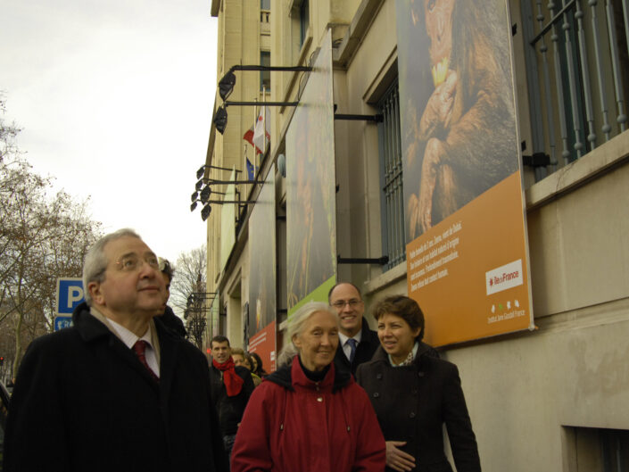 Planches et photos de l'exposition de l'Institut Jane Goodall, en 2008 à Paris