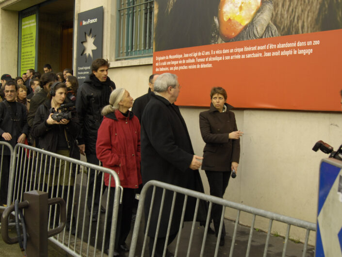 Planches et photos de l'exposition de l'Institut Jane Goodall, en 2008 à Paris