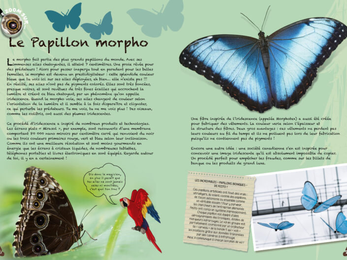 Pages intérieures de l'ouvrage Biomimétisme - livre jeunesse