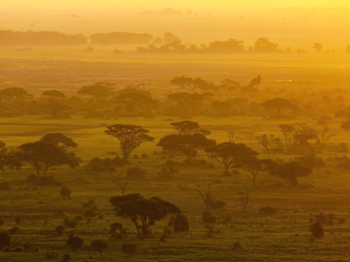 Lever de soleil Réserve nationale du Masai Mara