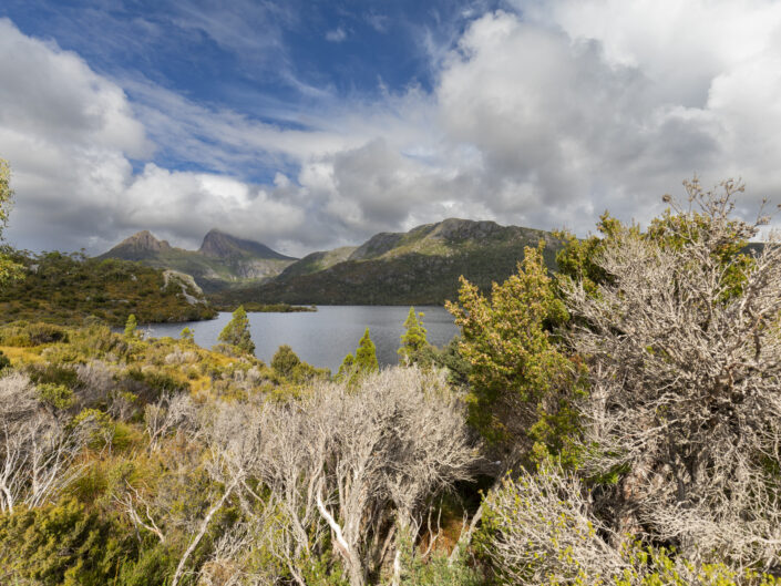 Cradle Mountain, Tasmanie