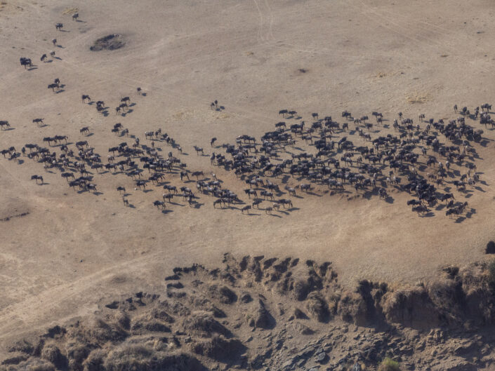 Vue aérienne Réserve nationale du Masai Mara