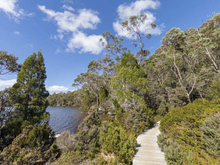 Mount Field, Tasmanie