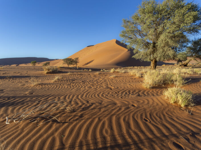 dune de sable rouge