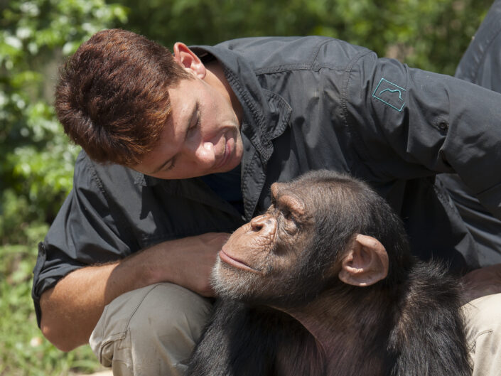 Eugene Cussons et le chimpanzé Cozy, JGI Chimpanzee Eden, Afrique du Sud
