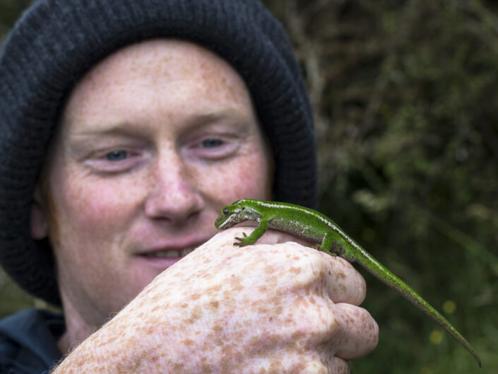 Carey Knox et un gecko "joyau", consultant herpétologue, Aotearoa Nouvelle-Zélande