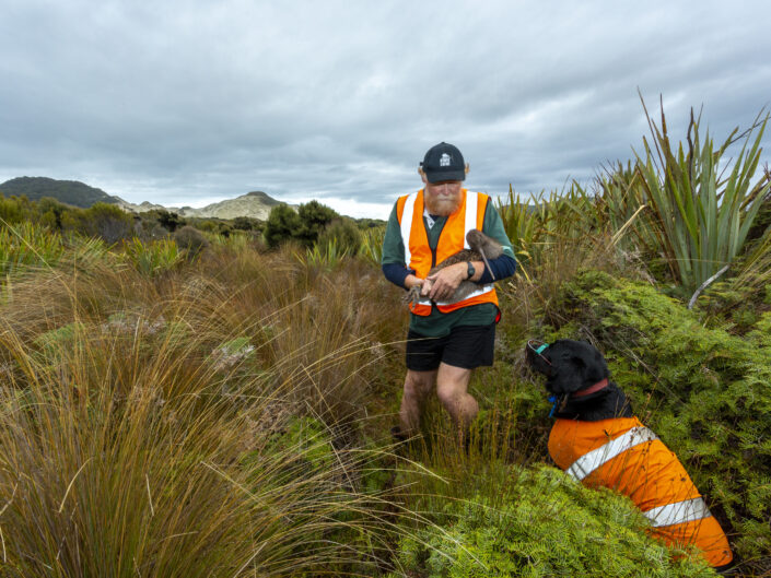 Hugh Robertson et sa chienne ranger Cara, en expédition, sur l'île Stewart / Rakiura à la recherche de Kiwis tokoeka