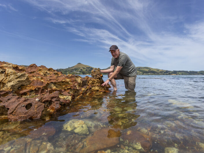 Rod Morris, fameux vidéaste et photographe, se consacre à faire découvrir la faune et la flore endémique des rivages rocheux de la péninsule d'Otago, île du Sud