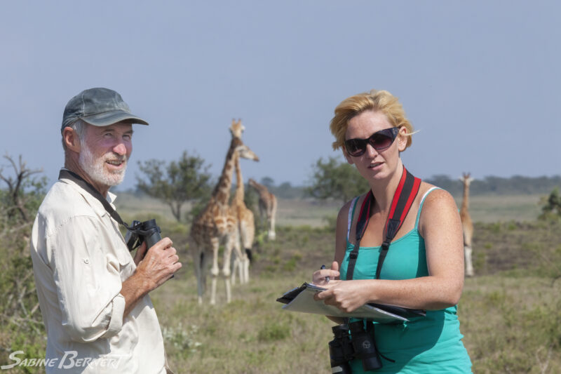 Zoé Muller, Les Moran et des girafes de Rothschild