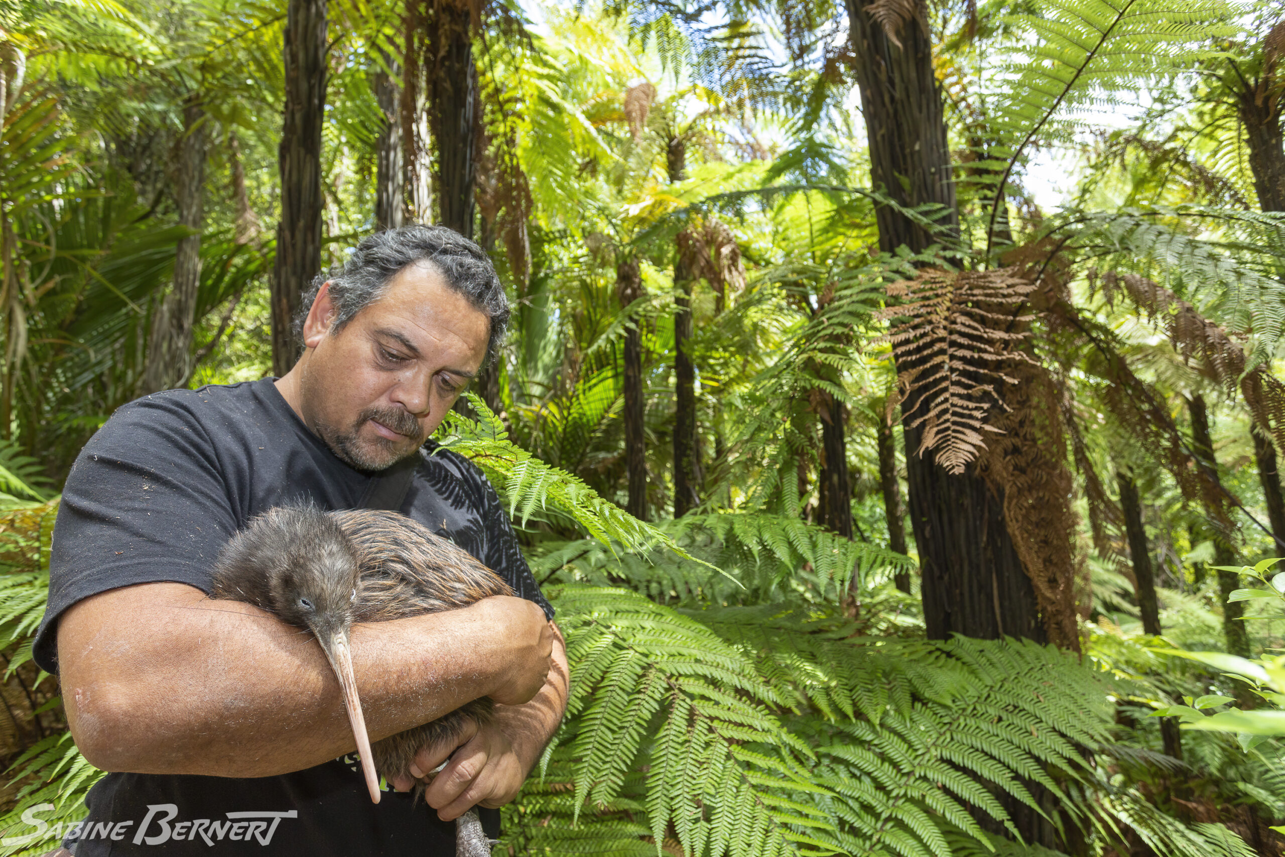 Ian Tarei, bénévole pour Save the kiwi, et un kiwi de Mantell