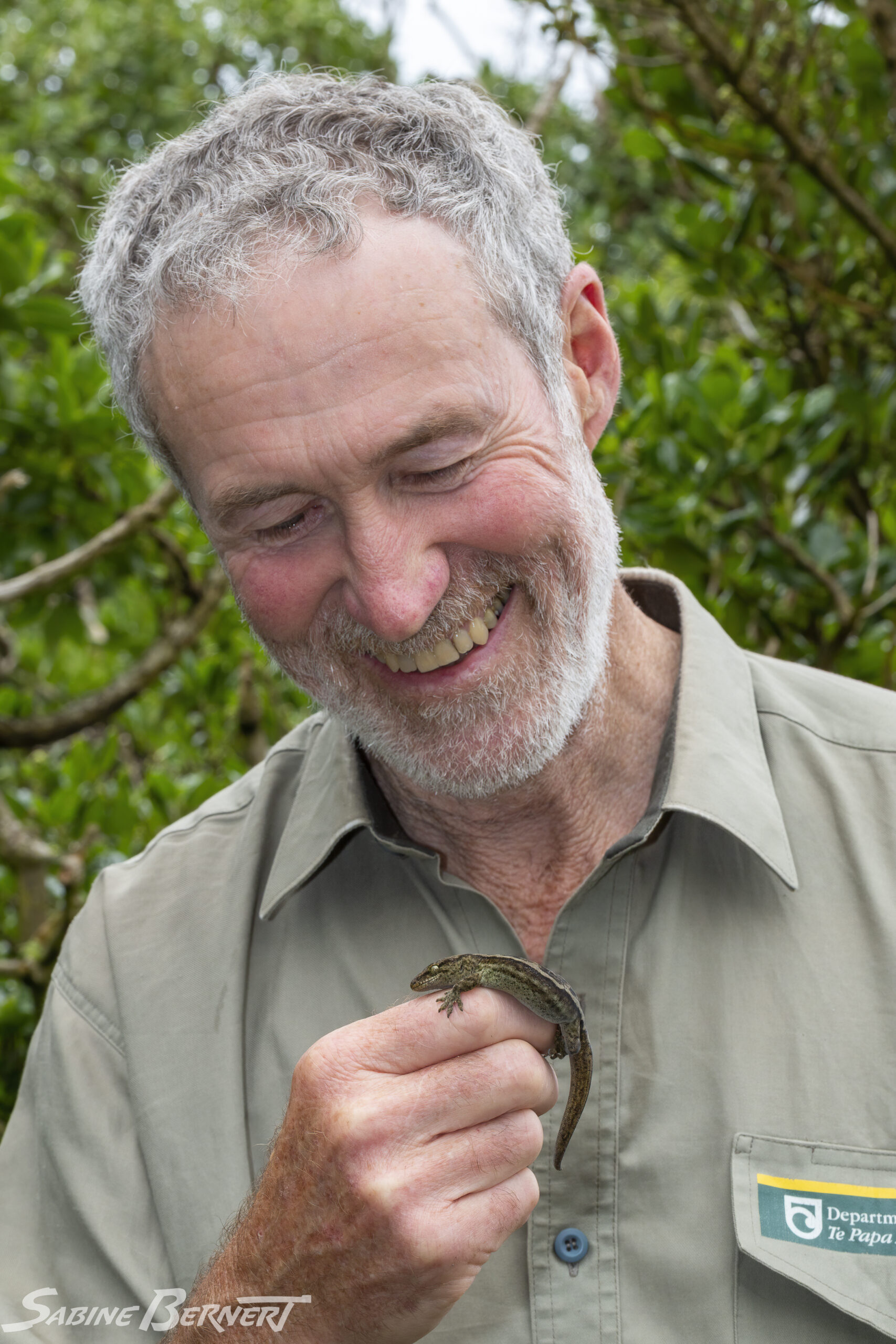 Les Moran et un striped gecko, Nouvelle-Zélande