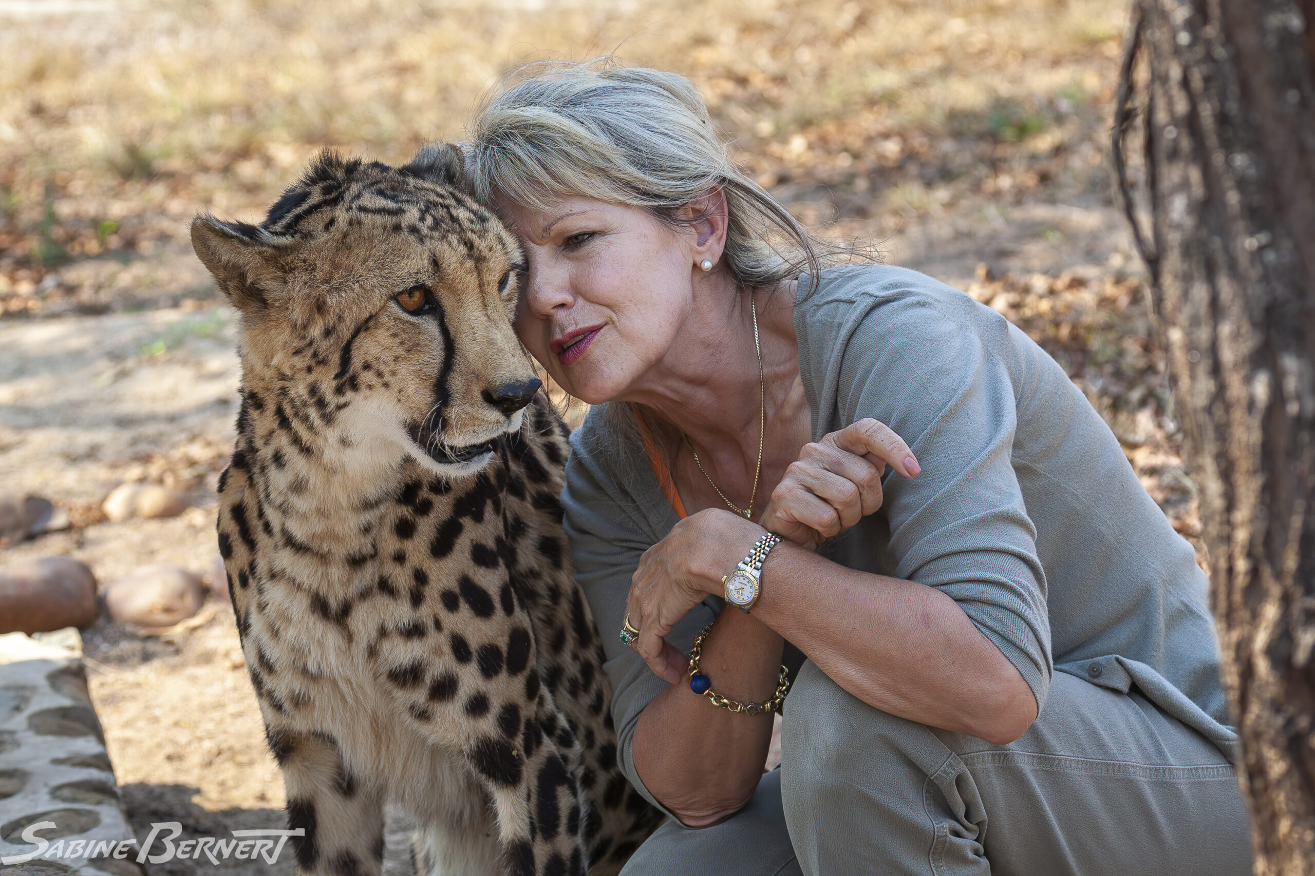 Lente Roode et un guépard "royal", Hoedspruit Endangered Species Centre, Afrique du Sud