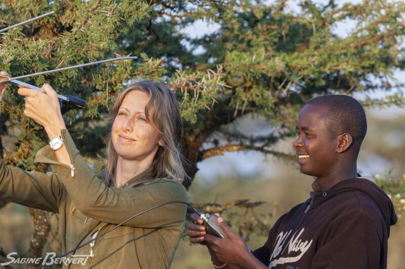 Allayne Cotterill et Marc Ngapo, Living with lions, Kenya