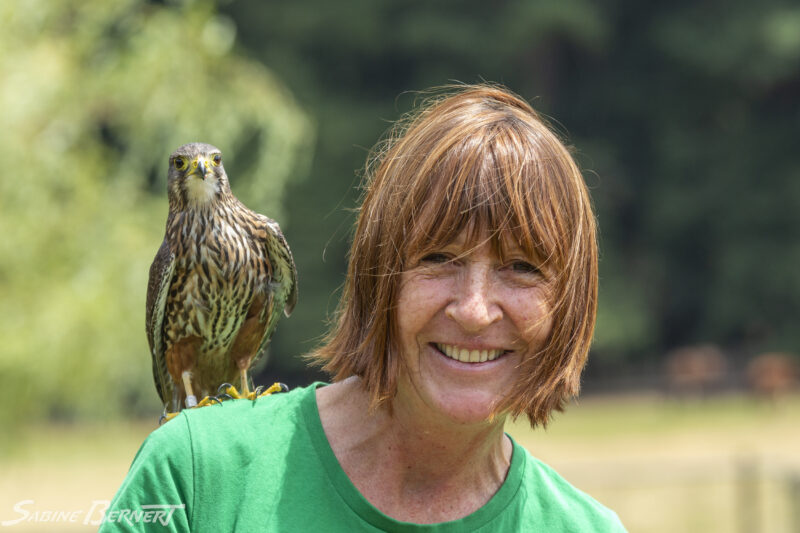 Debbie Stewart, Wingspan National Birds of Prey Centre, Nouvelle -Zélande