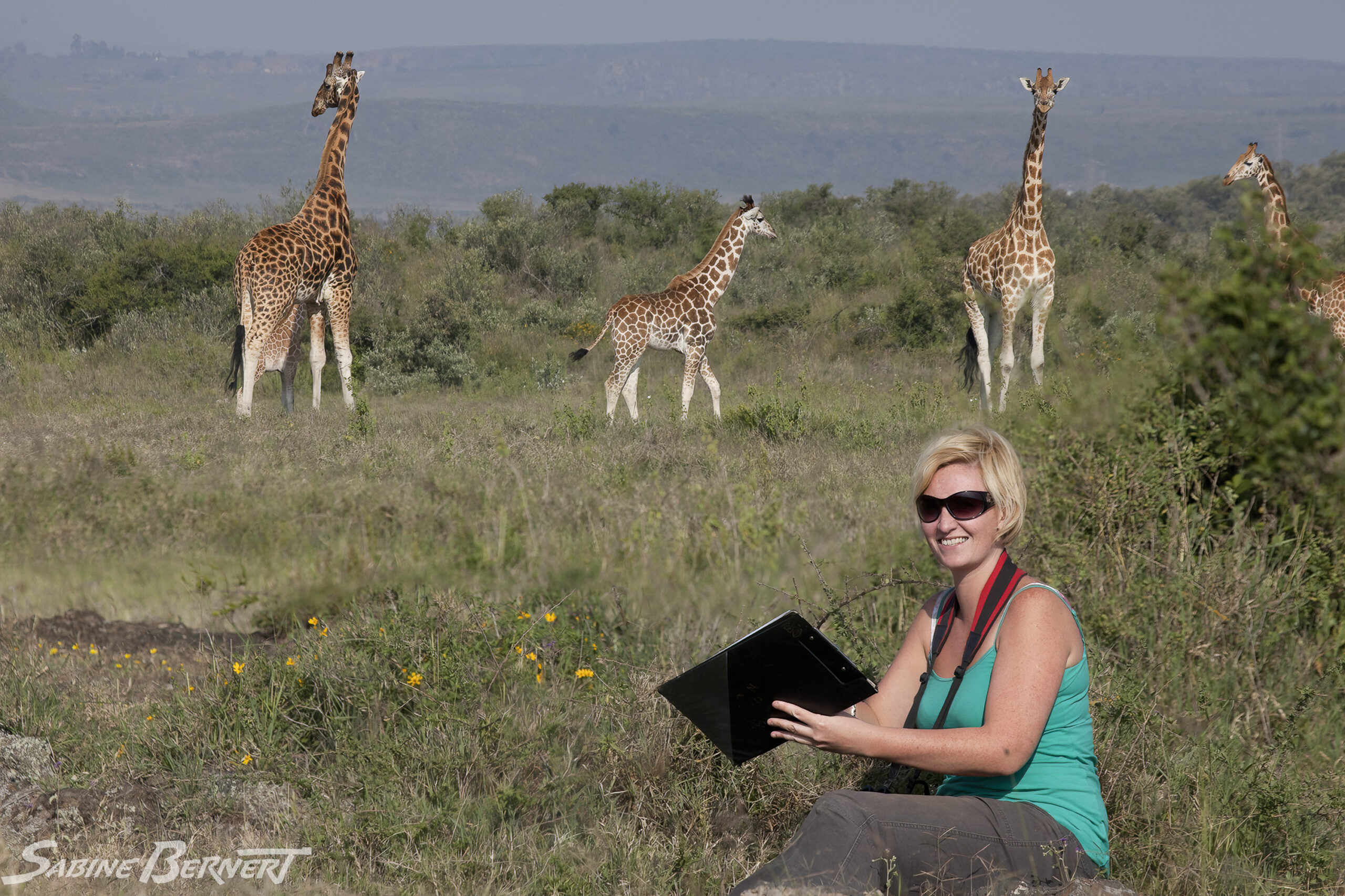 Zoé Muller et des girafes de Rothschild
